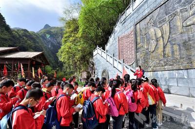 研学旅行 走进自然大课堂